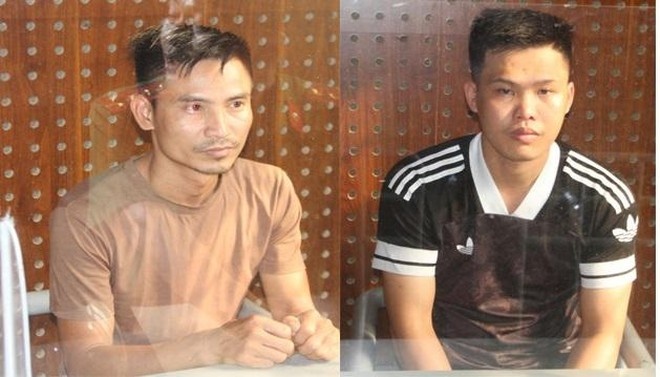 trồng cần sa tại nhà ảnh 1 trong can sa tai nha anh 1