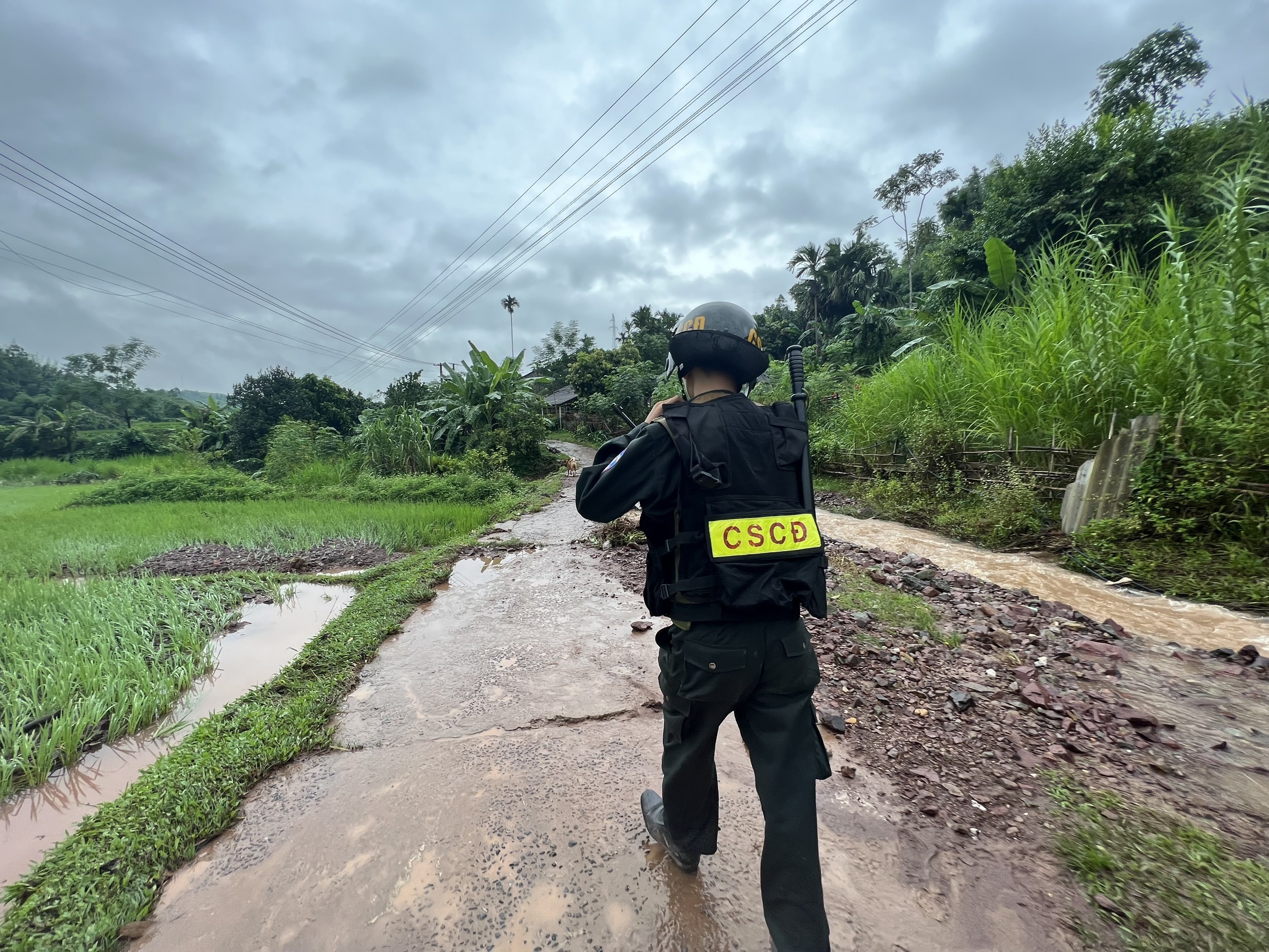 Con re giet me vo anh 1