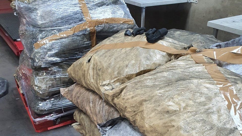 Cuoc chien chong toi pham ma tuy o cang bien Ha Lan hinh anh