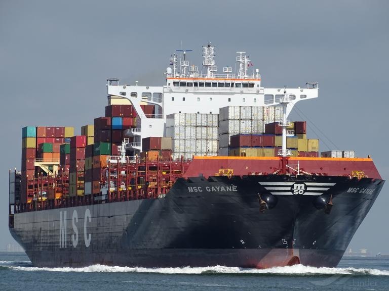 Bi bat qua tang cho 20 tan ma tuy, hang tau MSC doi dau gioi chuc My hinh anh