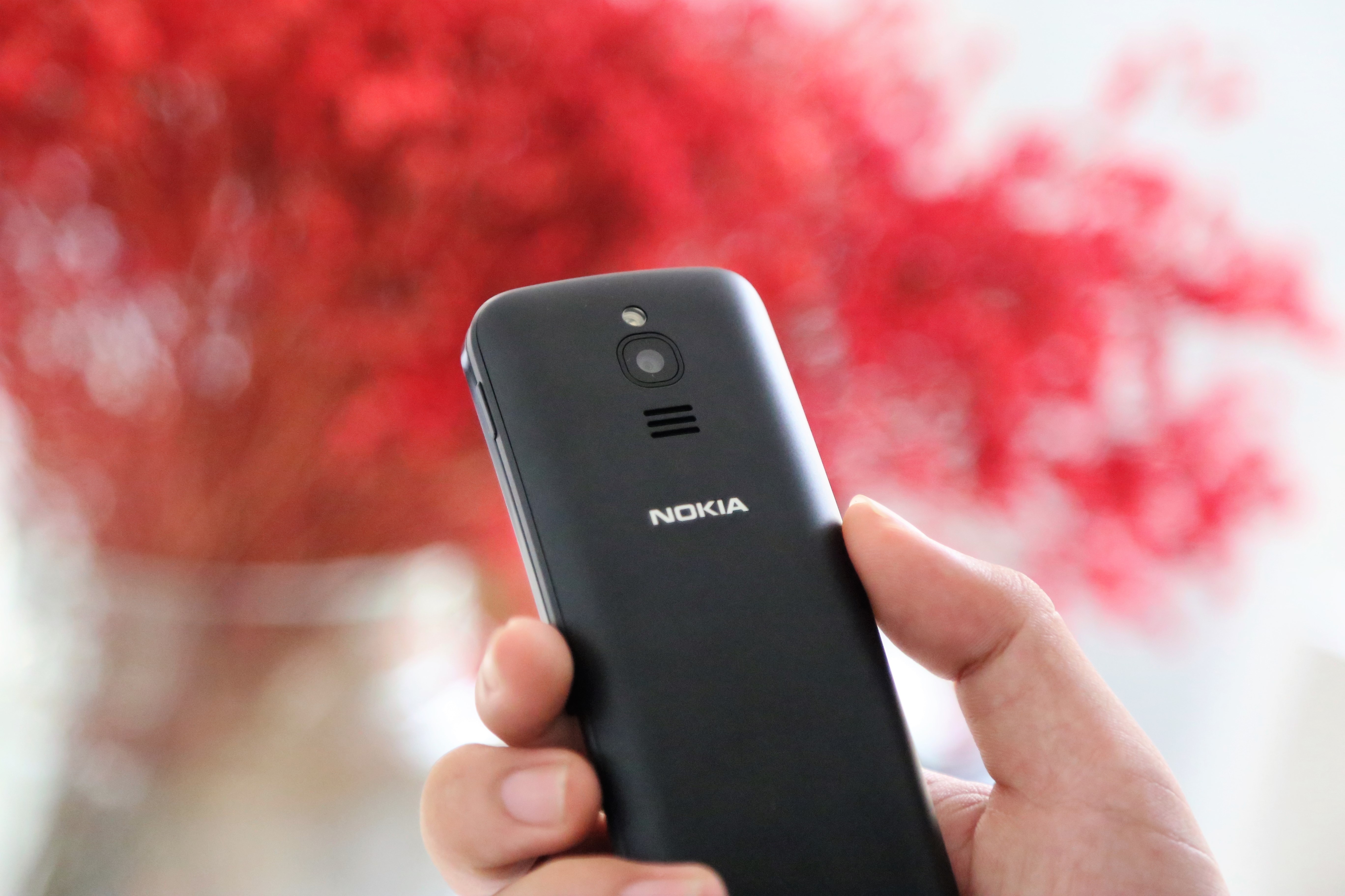 mo hop Nokia 8110 anh 8