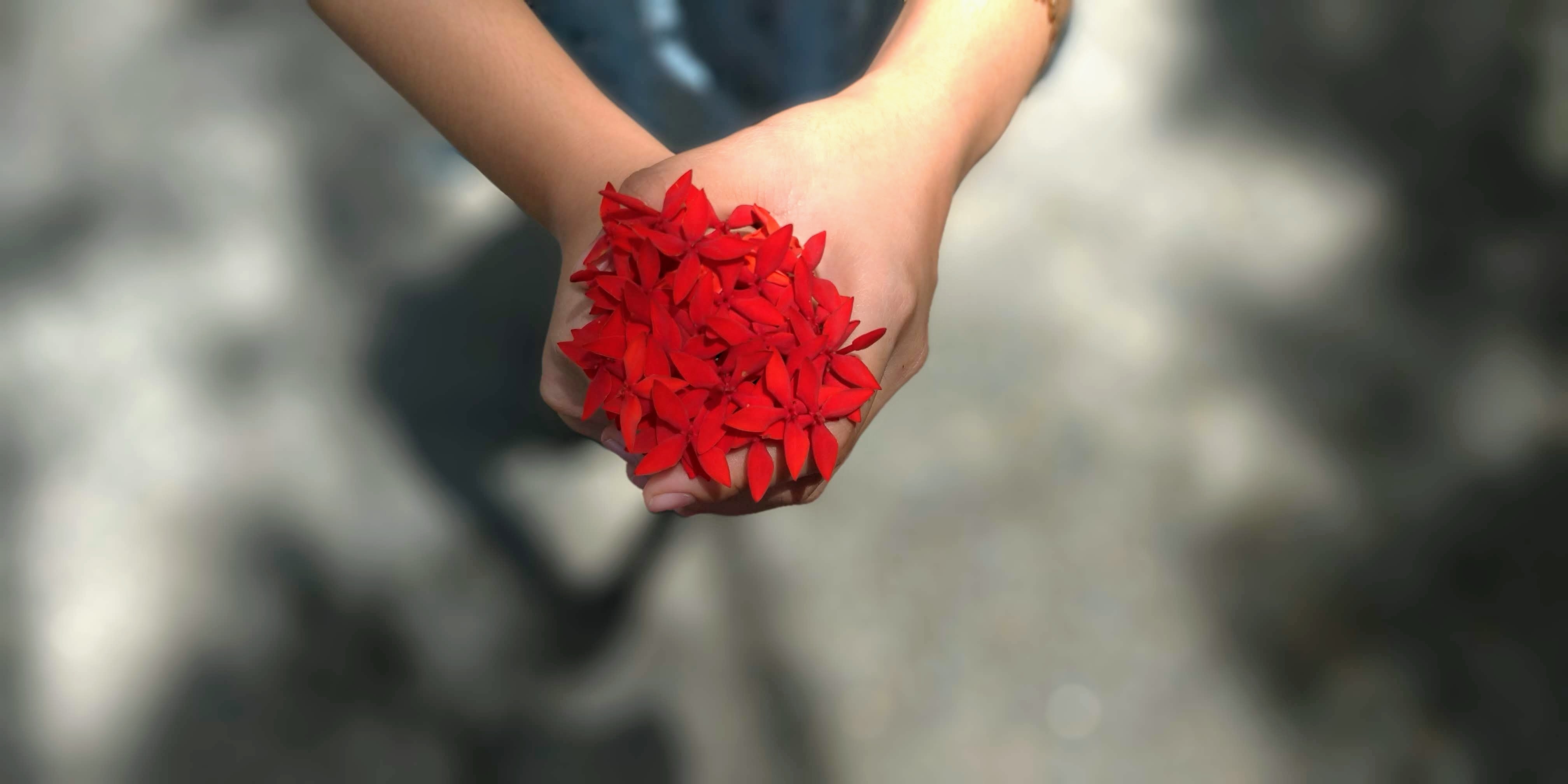 đánh giá chi tiết Asus Zenfone 5 ảnh 11 danh gia chi tiet Asus Zenfone 5 anh 11