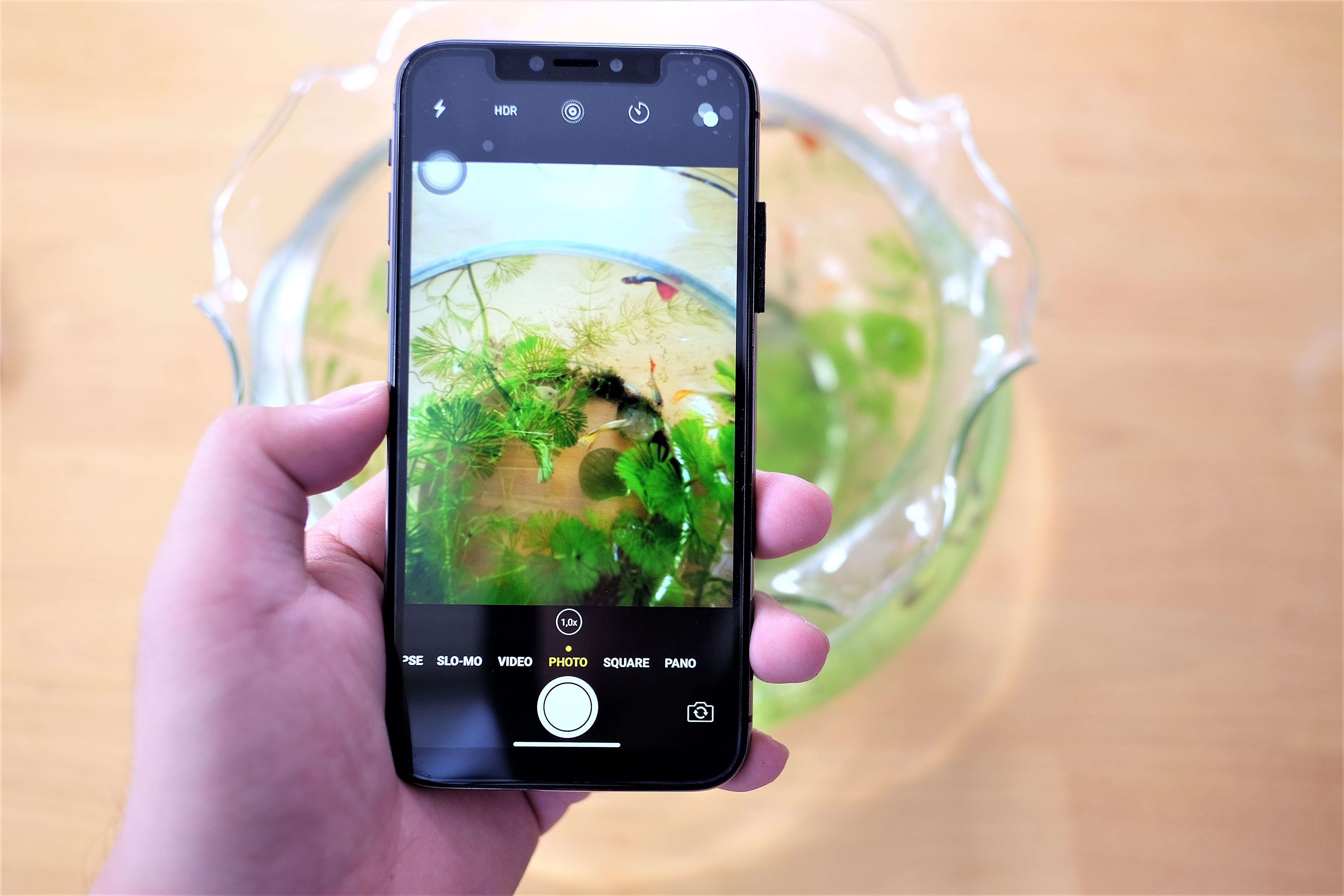 iPhone XS va XS nhai anh 8