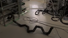 Robot ran dieu khien bang tay cam PlayStation hinh anh