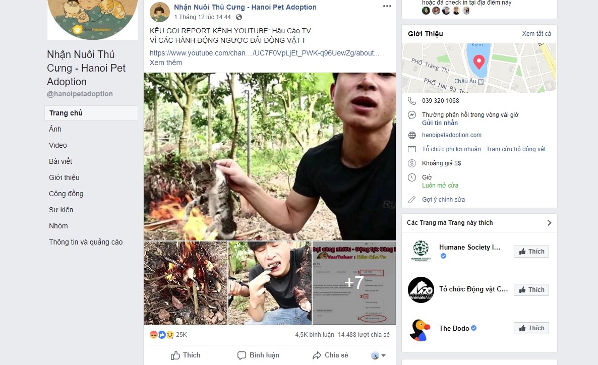 YouTuber an thit meo anh 1