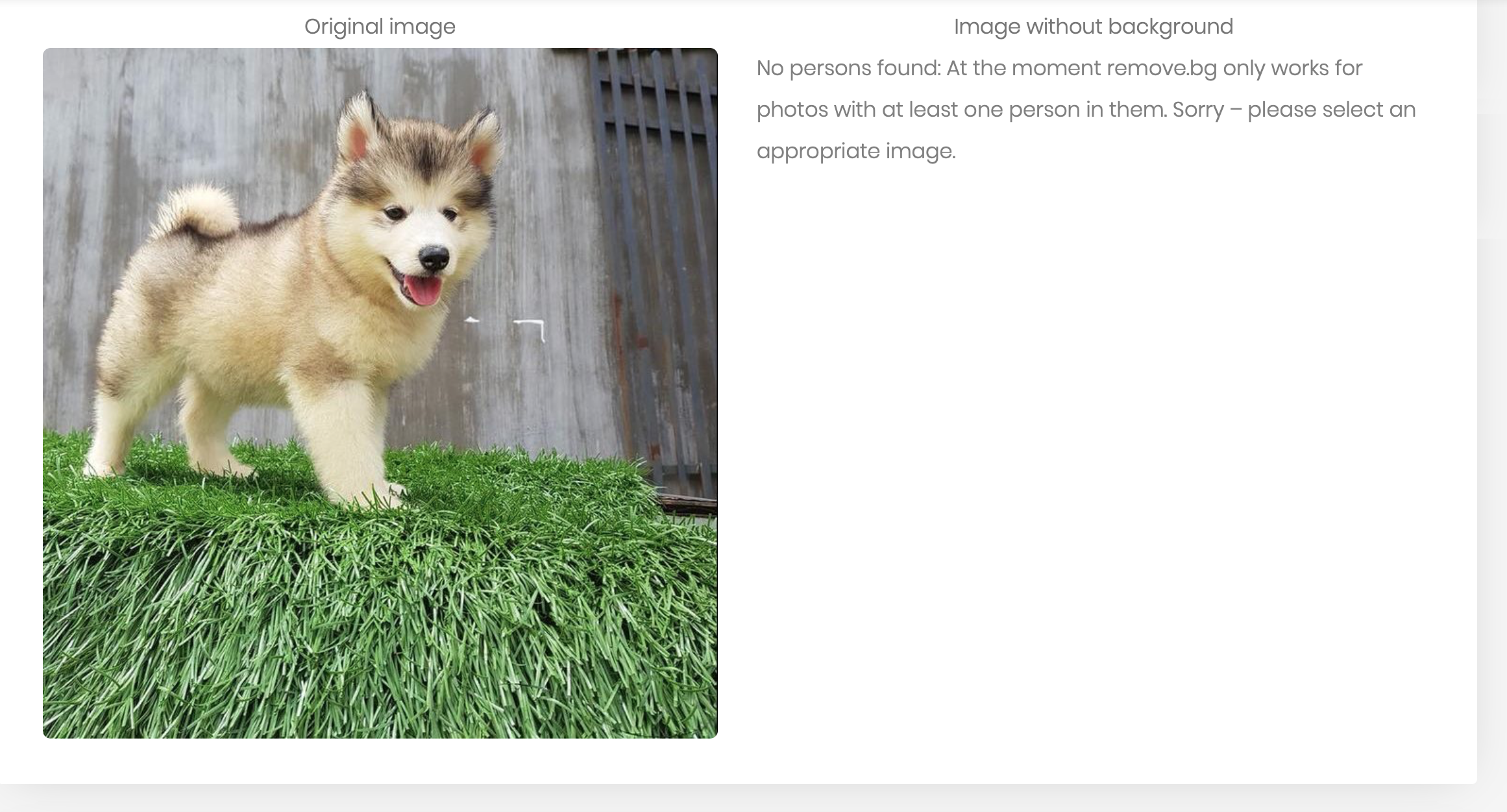 ung dung tach nen anh online anh 5