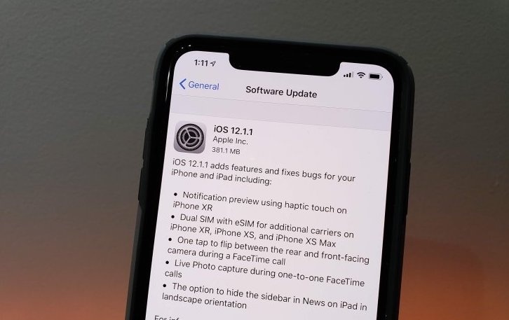 Co nen cap nhat iOS 12.1.2 cho iPhone X? hinh anh