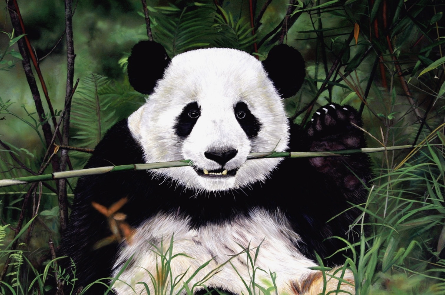 Cho gau an, nem luon iPhone vao chuong thu vi nham lan hinh anh