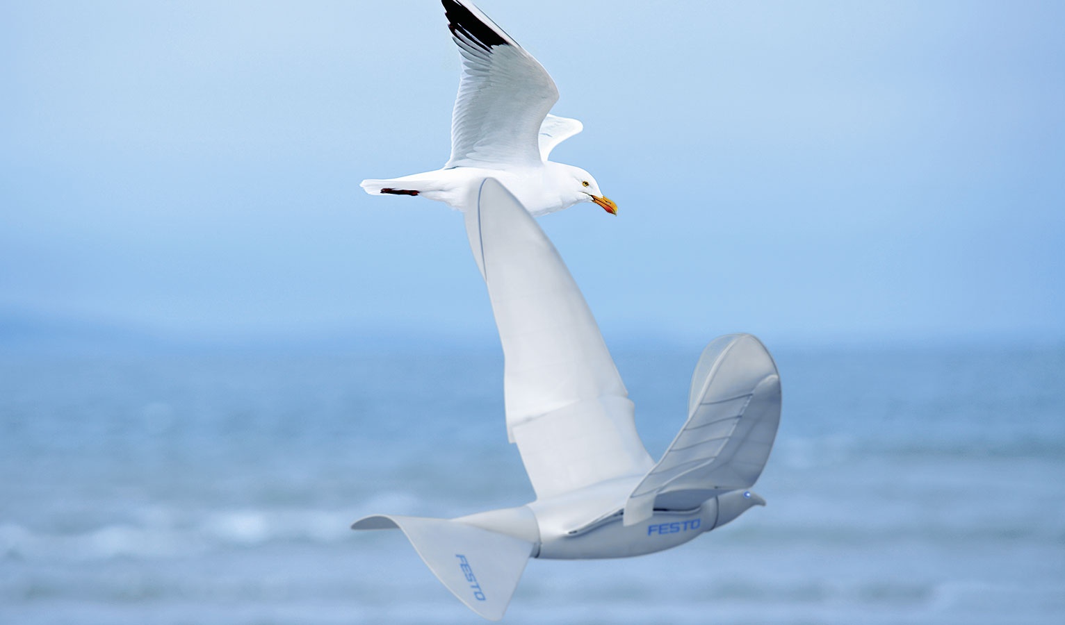 SmartBird - robot bay luon nhu chim hai au hinh anh