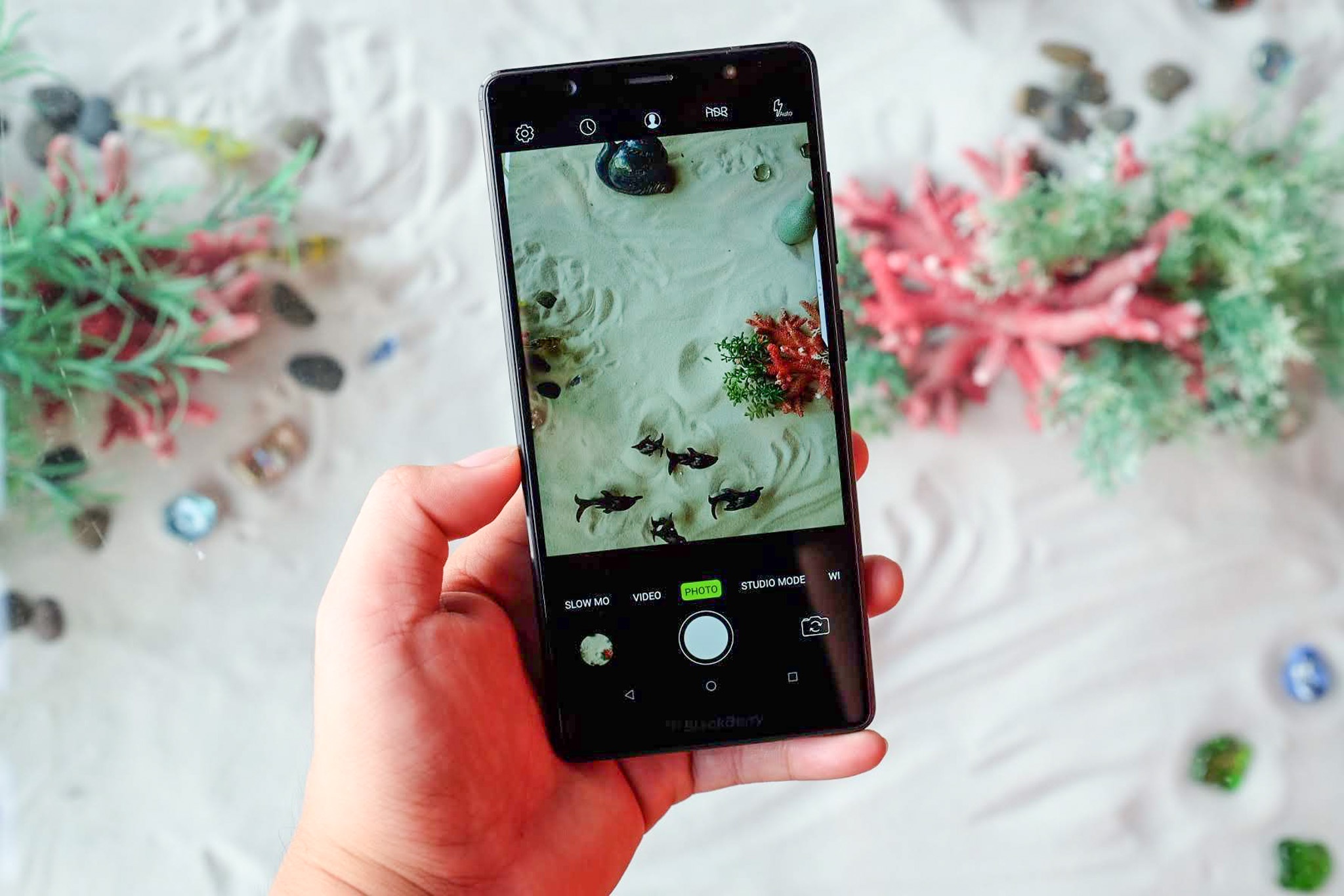 BlackBerry Evolve ve Viet Nam anh 8