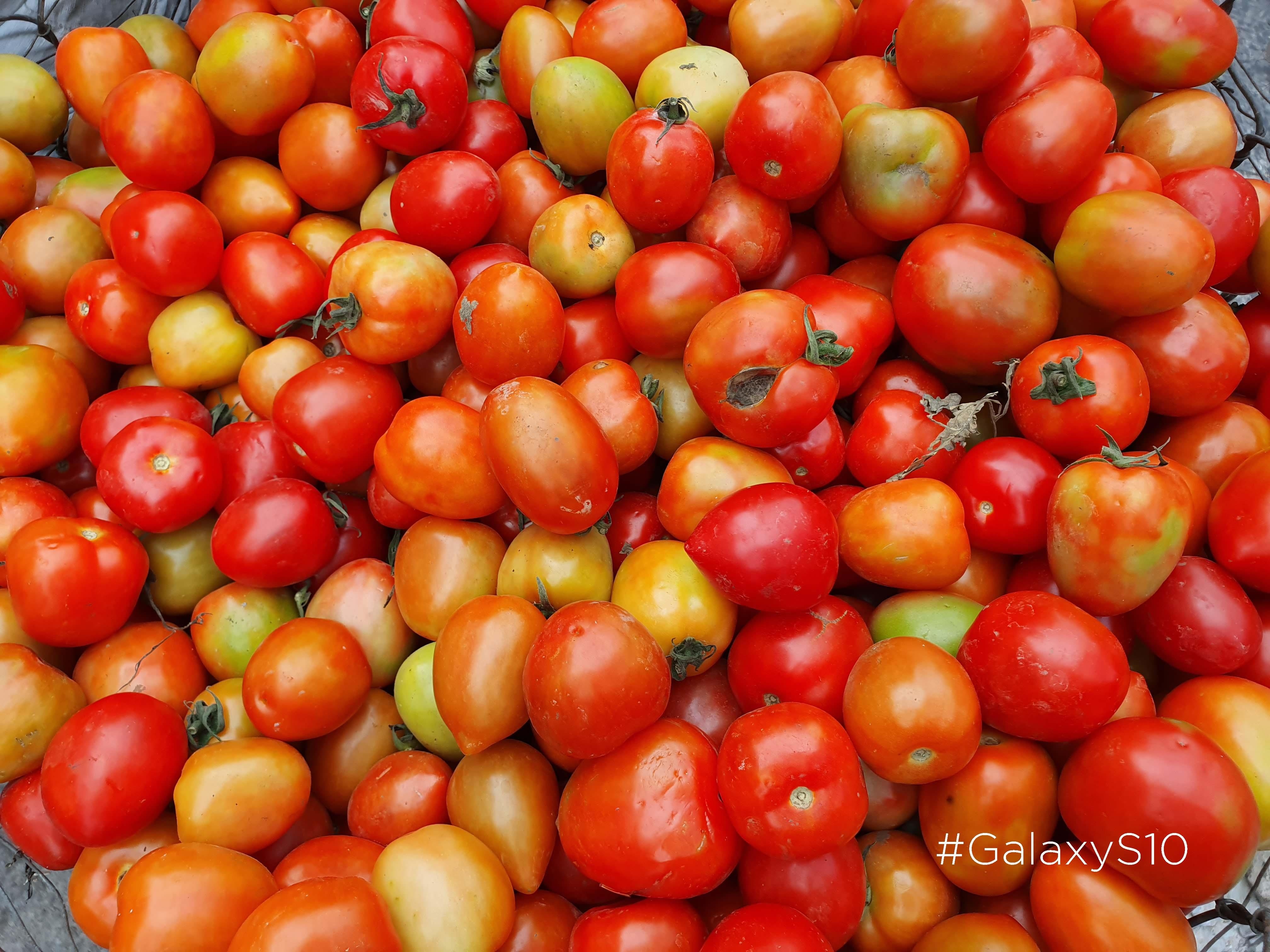 so sanh camera iPhone XS Max voi Galaxy S10 anh 3