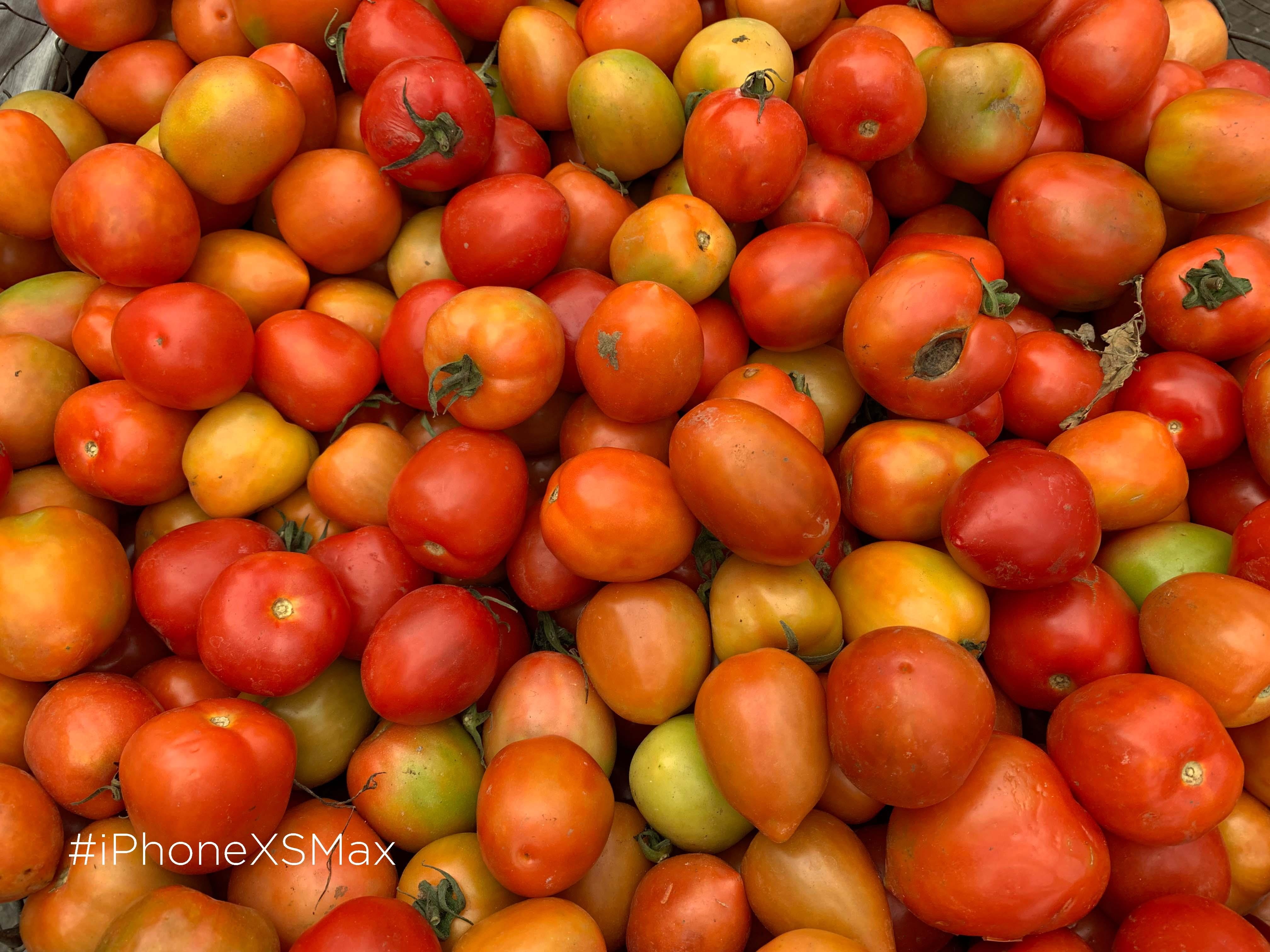 so sanh camera iPhone XS Max voi Galaxy S10 anh 4