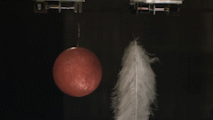 Long nang hon sat hay sat nang hon long? hinh anh