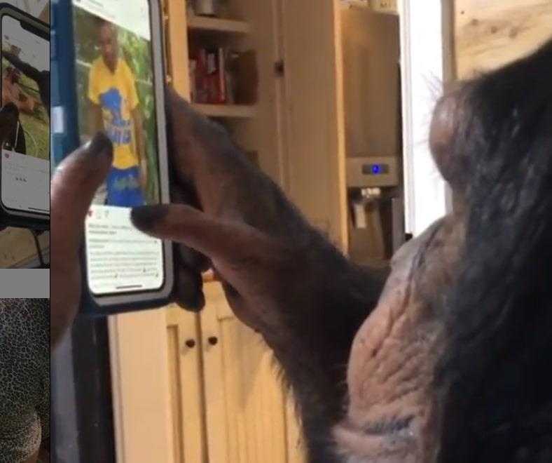 Tinh tinh ‘dung Instagram’ gay bao mang hinh anh