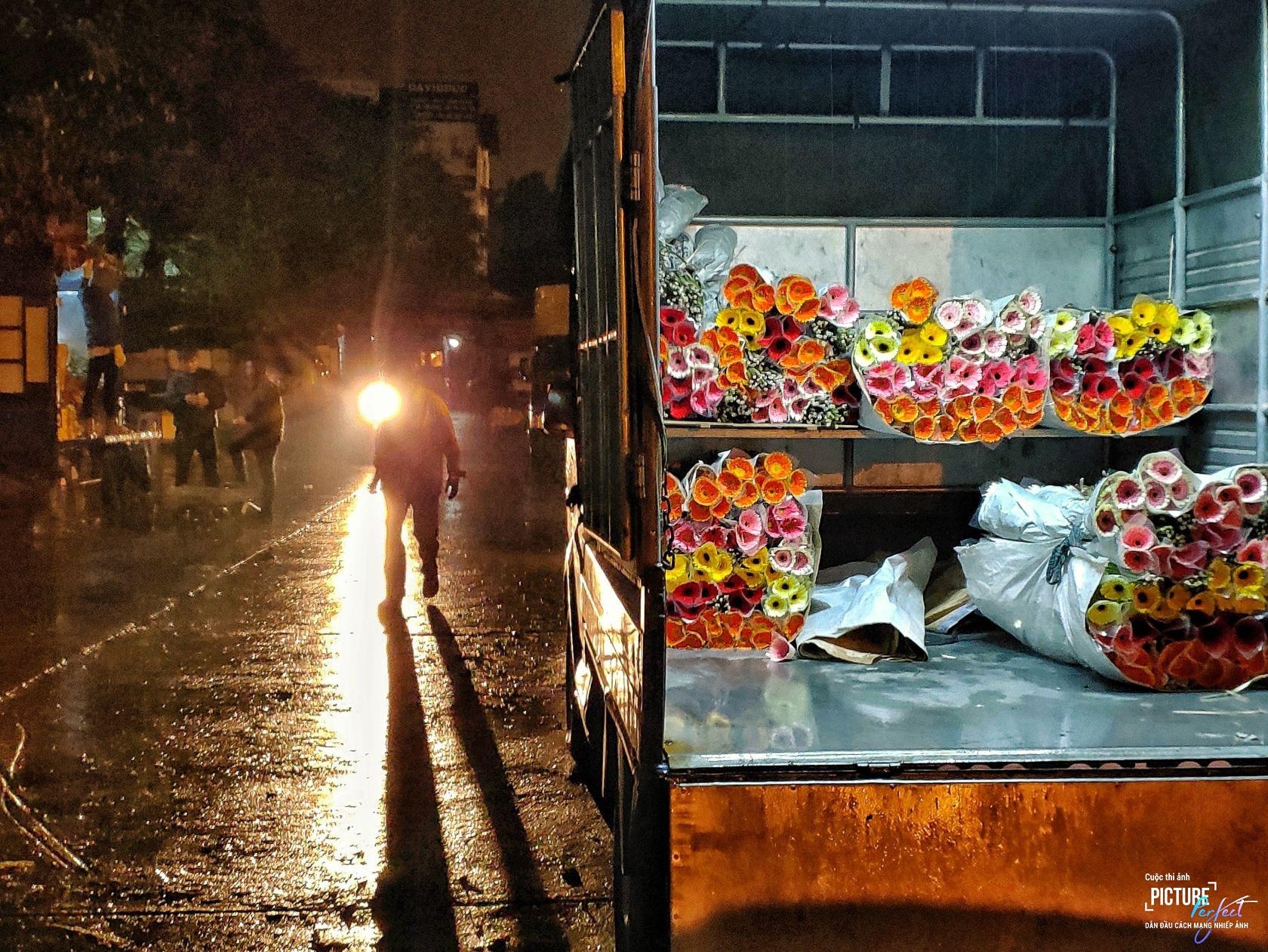 Picture-Perfect anh 1