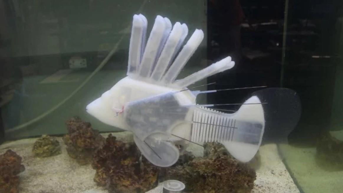 Robot ca chay bang pin ‘mau’ dau tien hinh anh