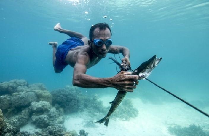 Dieu gi xay ra neu con nguoi song duoi nuoc? hinh anh