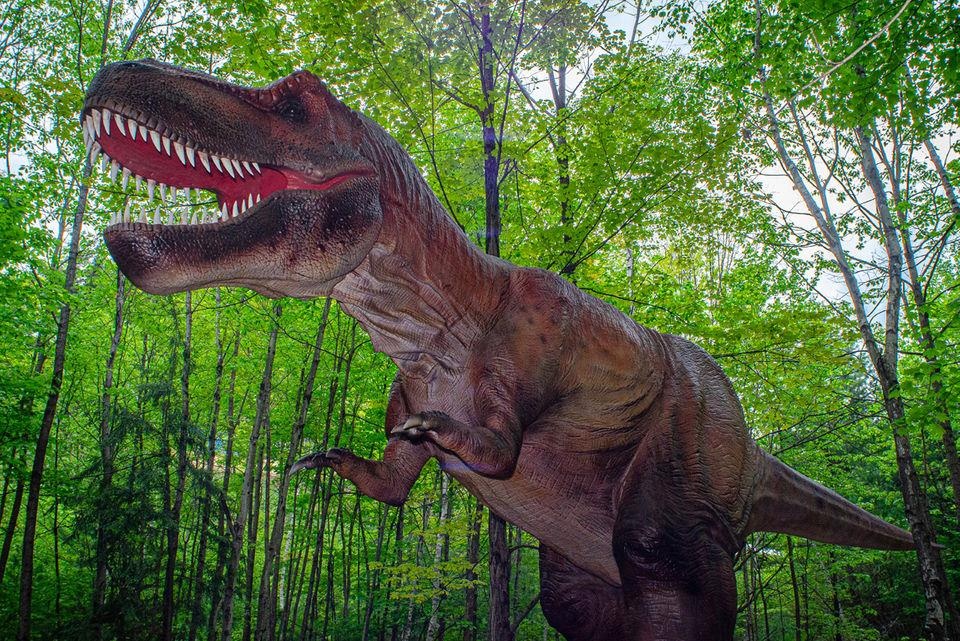 Dieu gi xay ra neu con nguoi thuan hoa duoc khung long? hinh anh