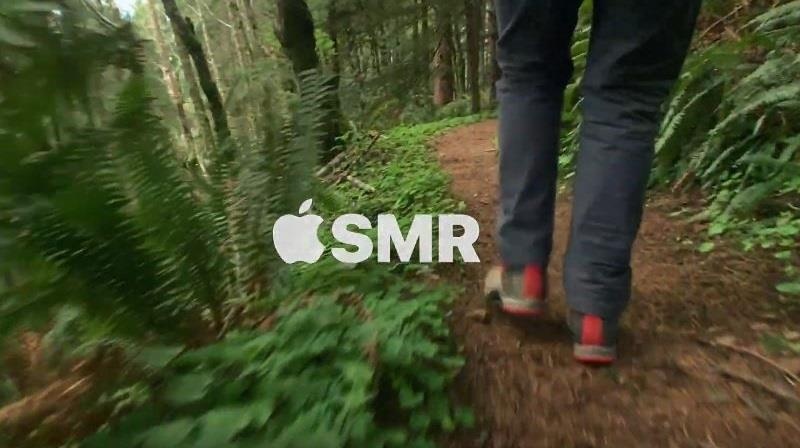 Video ASMR voi am thanh buoc chan di trong rung hinh anh