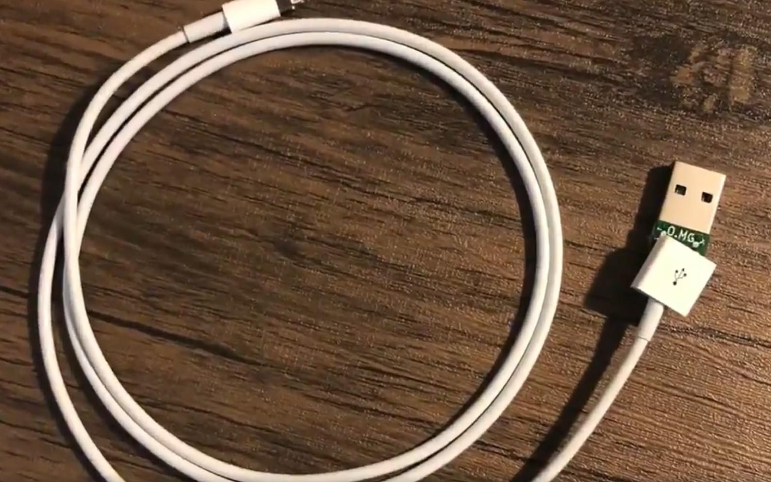 cap lightning cua Apple anh 1