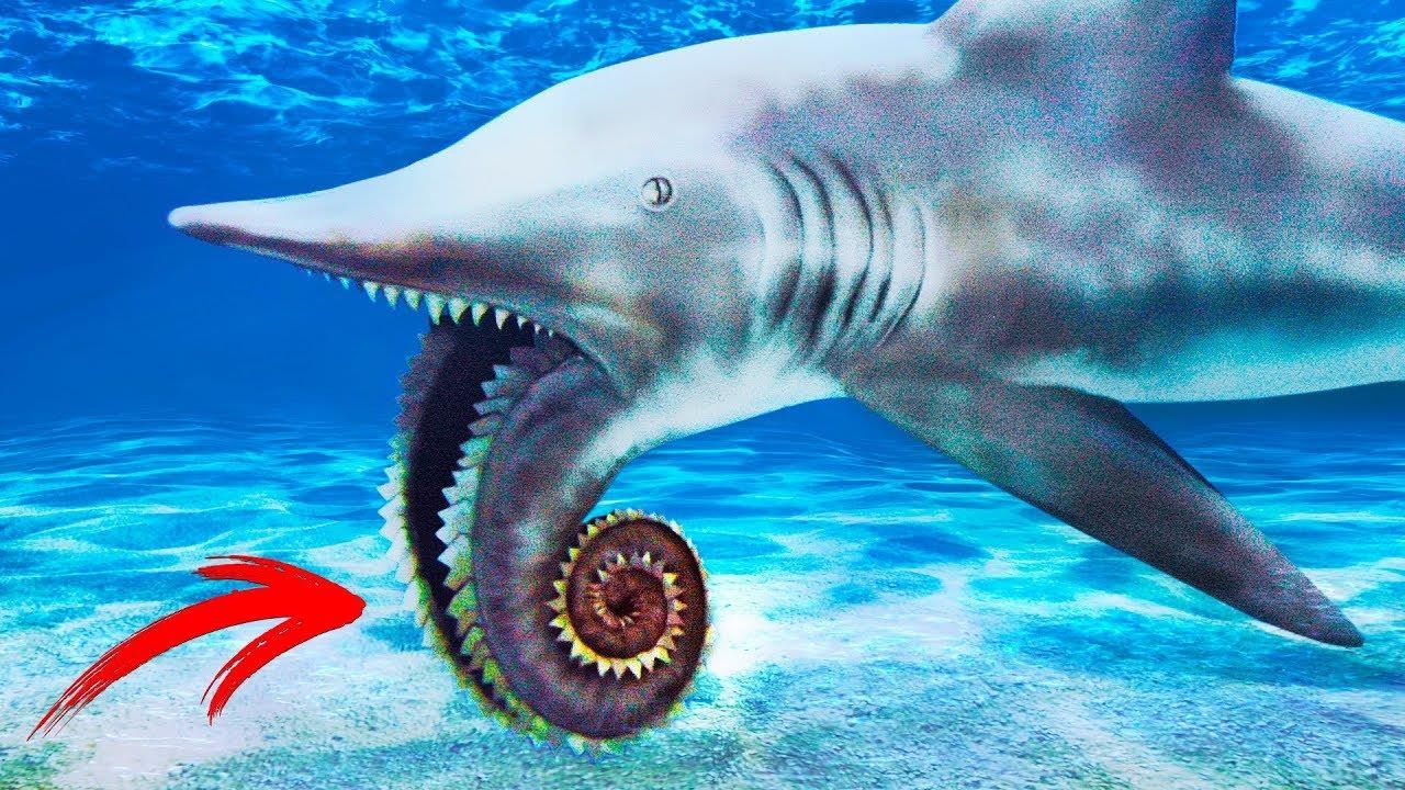 Vi sao con nguoi chua kham pha het dai duong? hinh anh