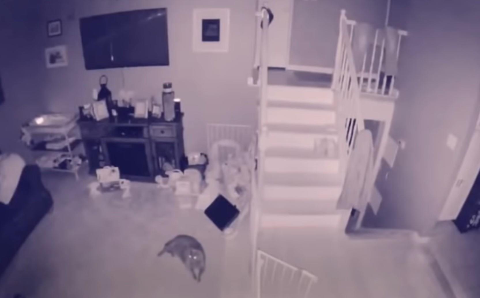 Dan mang My ban tan ve 2 'bong ma' xuat hien tren camera an ninh hinh anh