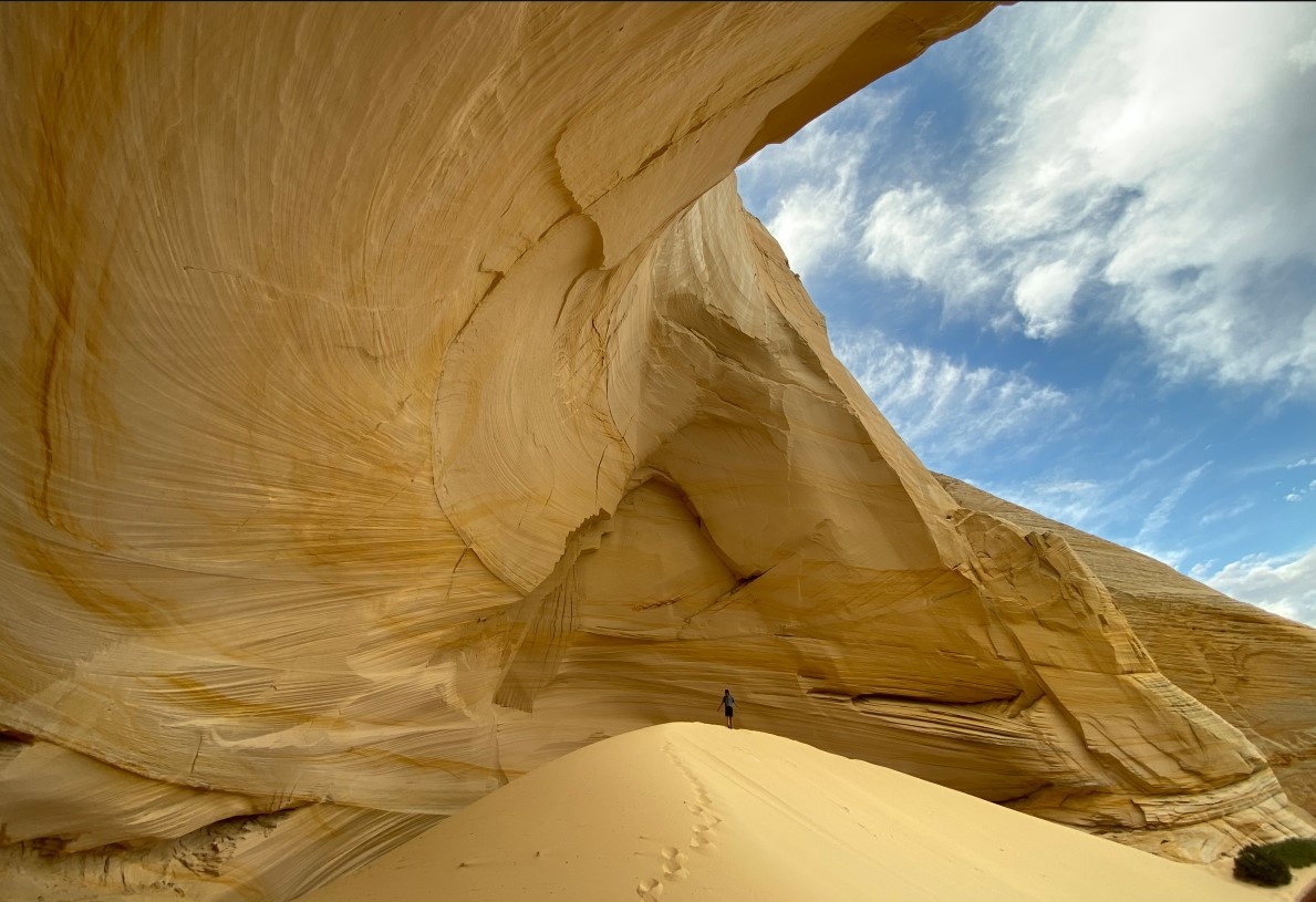 anh chup tu iPhone 11 Pro Max anh 3