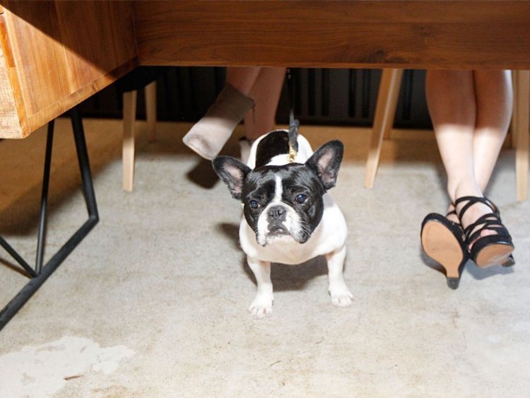 Việc làm tại Silicon Valley ảnh 7 Viec lam tai Silicon Valley anh 7