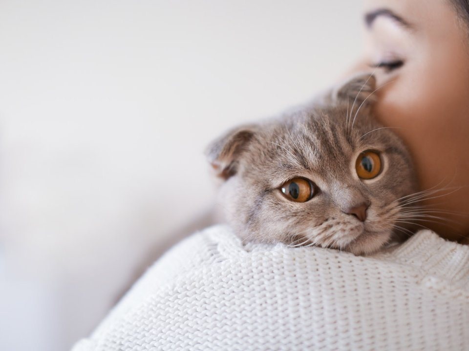 Việc làm tại Silicon Valley ảnh 10 Viec lam tai Silicon Valley anh 10