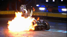 Phao dai di dong bat ngo bai tran boi robot chuot chui hinh anh