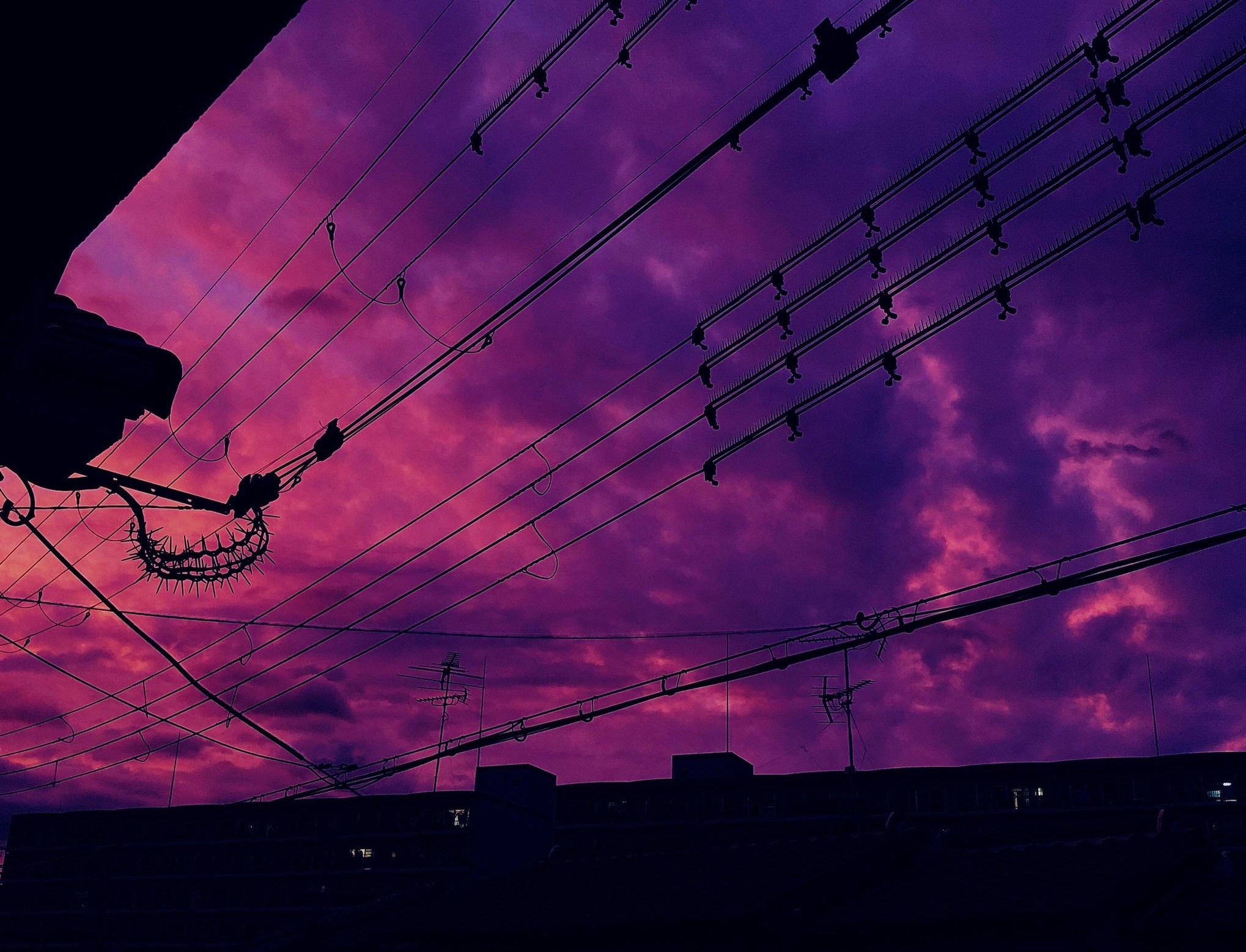 Bau troi Nhat Ban chuyen mau tim anh 8