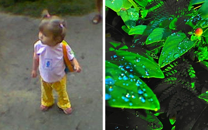 thay doi cua the gioi cong nghe sau 20 nam anh 14