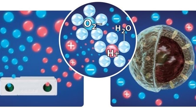 cach chon mua may loc khong khi anh 3