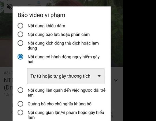 Cong dong mang keu goi tay chay NTN anh 1