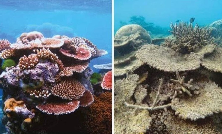 Trai dat da thay doi the nao sau 10 nam anh 6