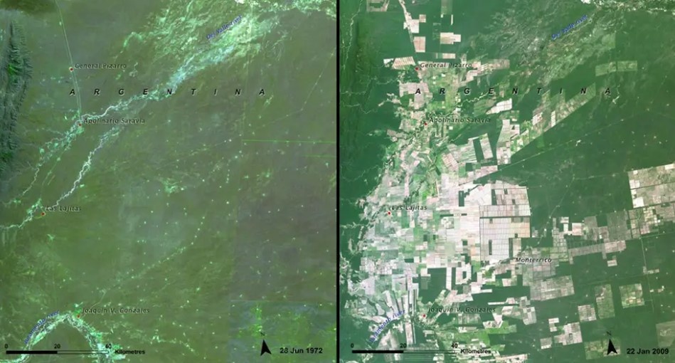 Trai dat da thay doi the nao sau 10 nam anh 8