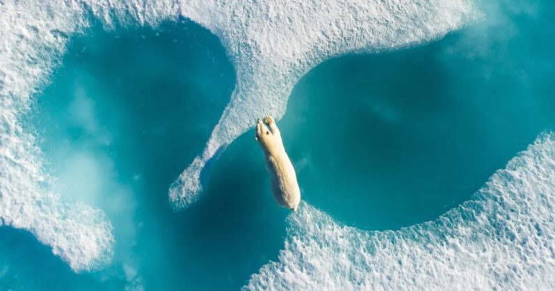 Muc nuoc bien da dang cao den muc bao dong hinh anh