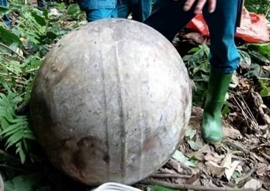 Vat the la roi xuong rung phong ho anh 1