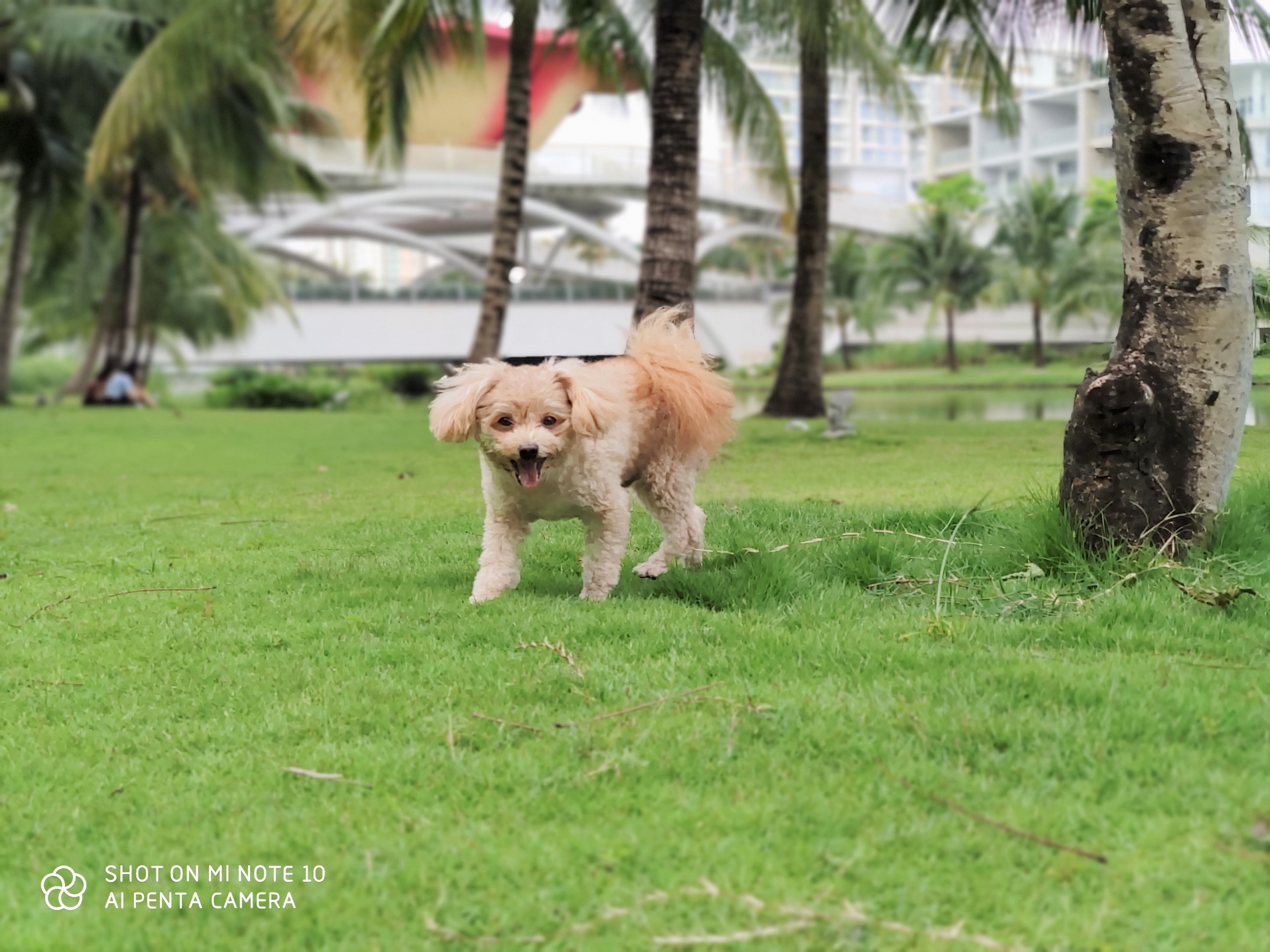 Trải nghiệm Xiaomi Mi Note 10 ảnh 7 Trai nghiem Xiaomi Mi Note 10 anh 7