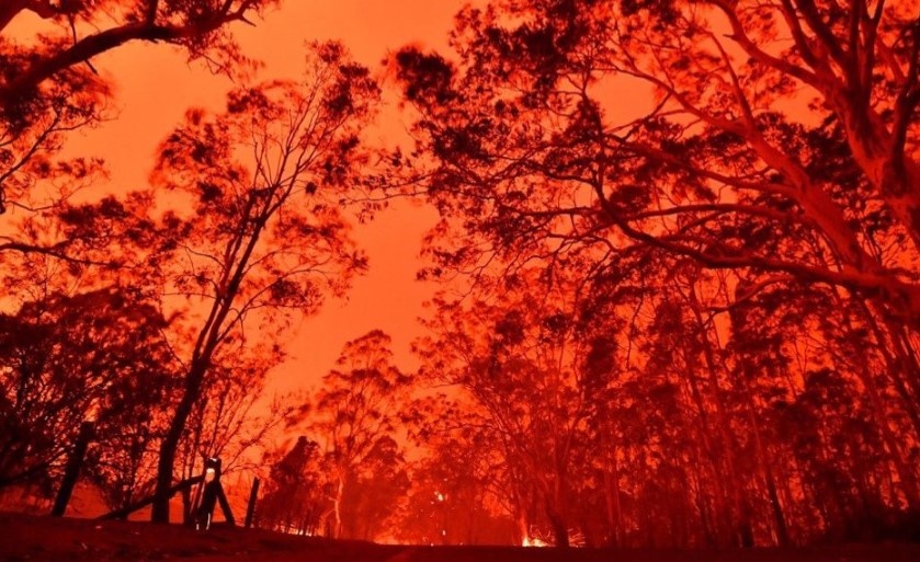 bau troi do do chay rung o Australia anh 5