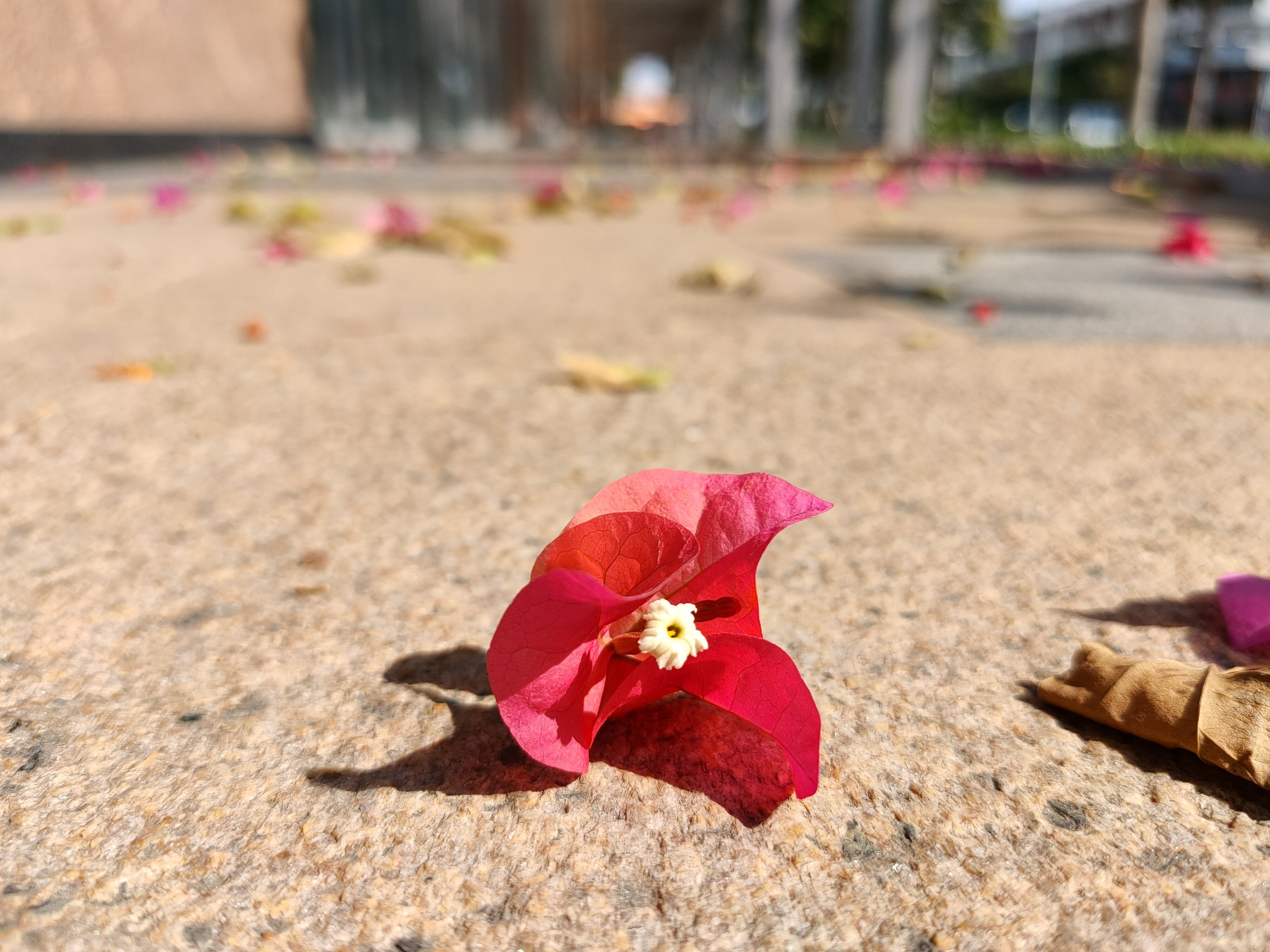 anh chup bang Oppo Find X2 anh 12