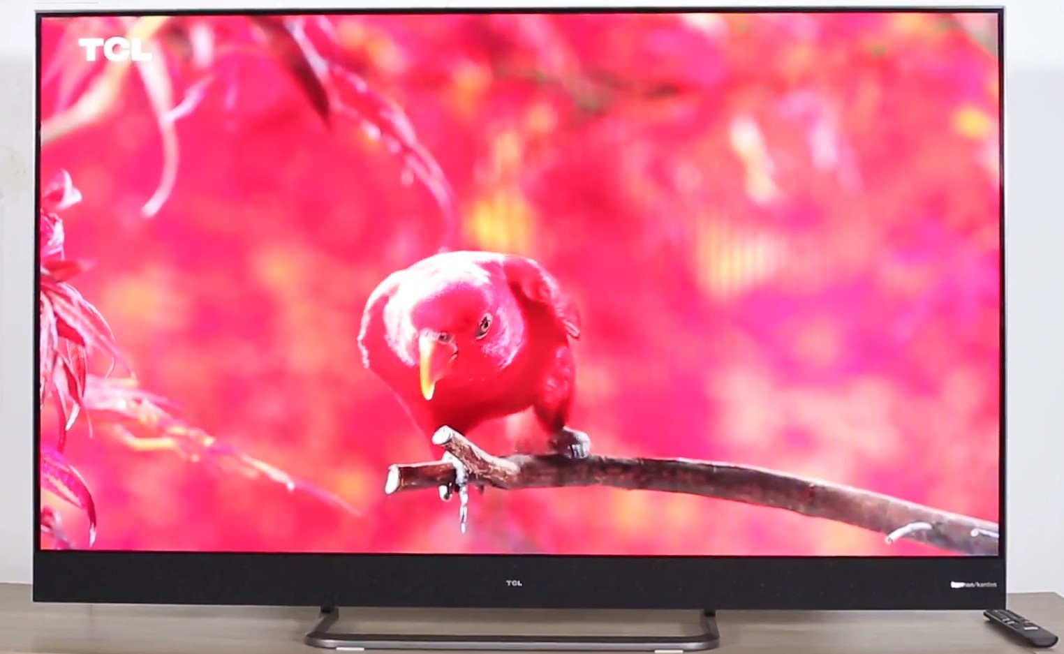 loat TV giam gia anh 4