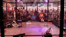 Canh tuong 24 robot danh nhau tren san dau hinh anh