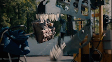 Co may cho thay ham rang khung long manh nhu the nao hinh anh