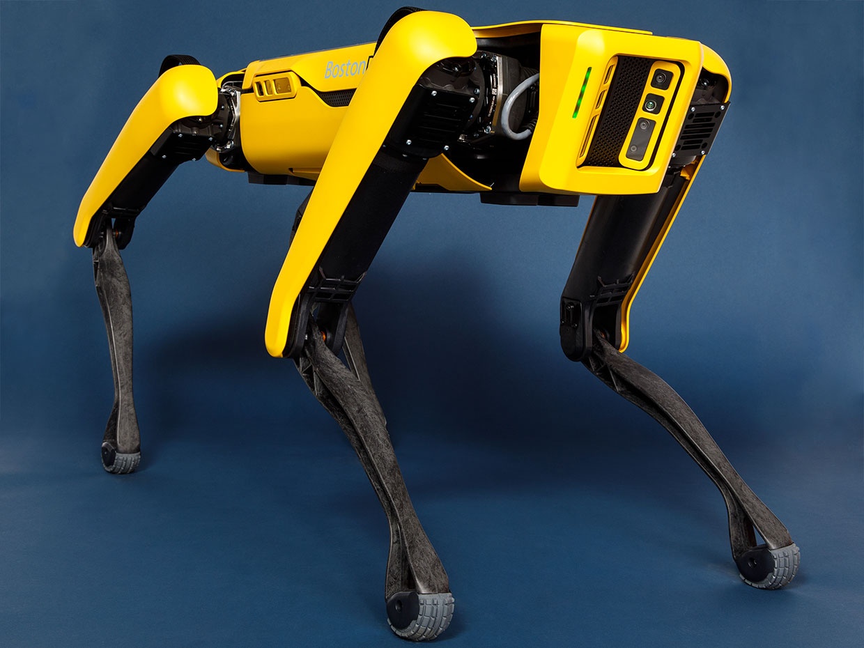 Robot cho do Boston Dynamics che tao hinh anh