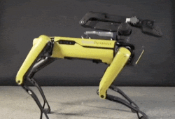 Cho robot duoc ban ra sau 10 nam thu nghiem, gia hon 70.000 USD hinh anh