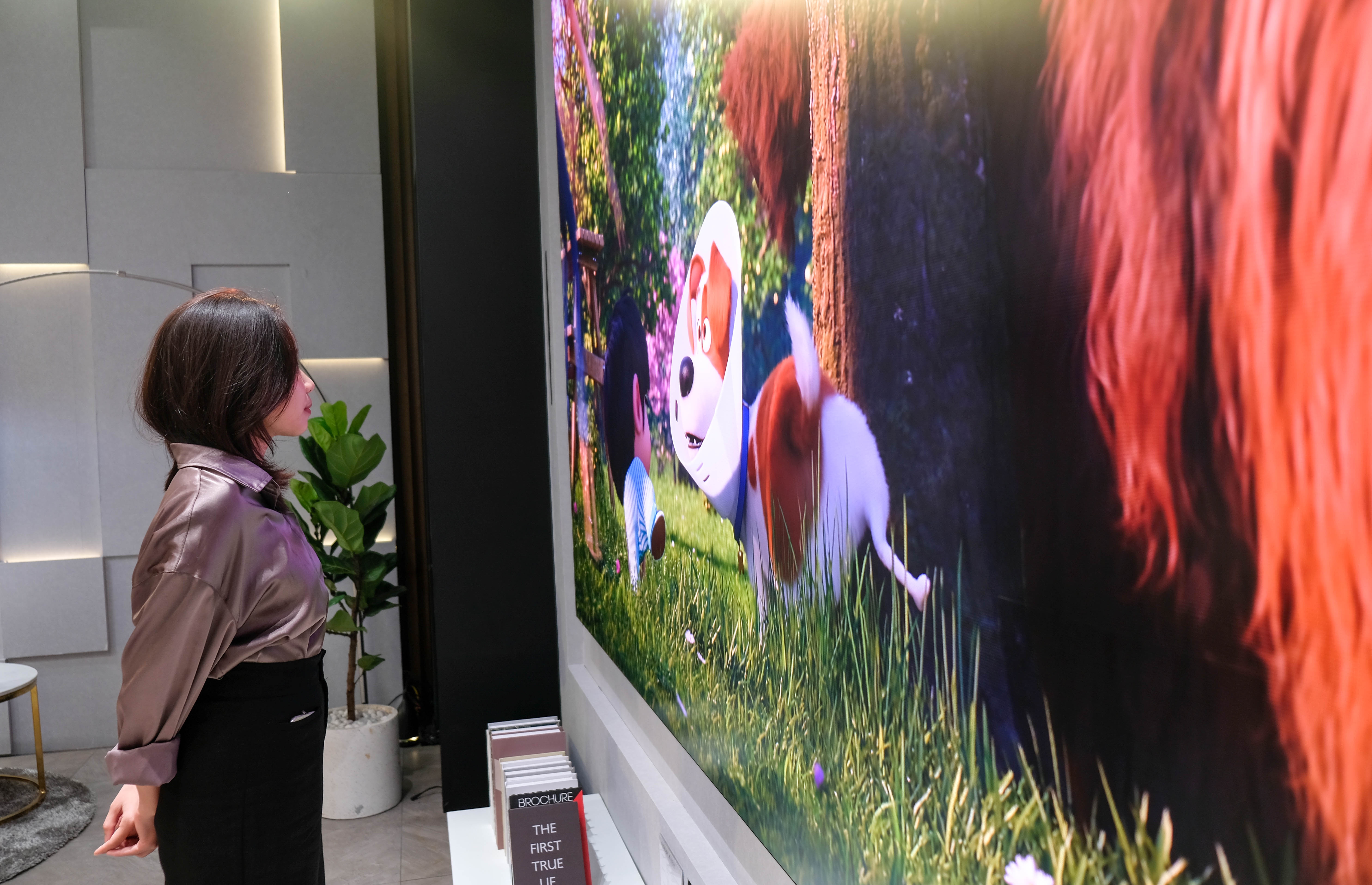 TV The Wall ra mat tai Viet Nam anh 2