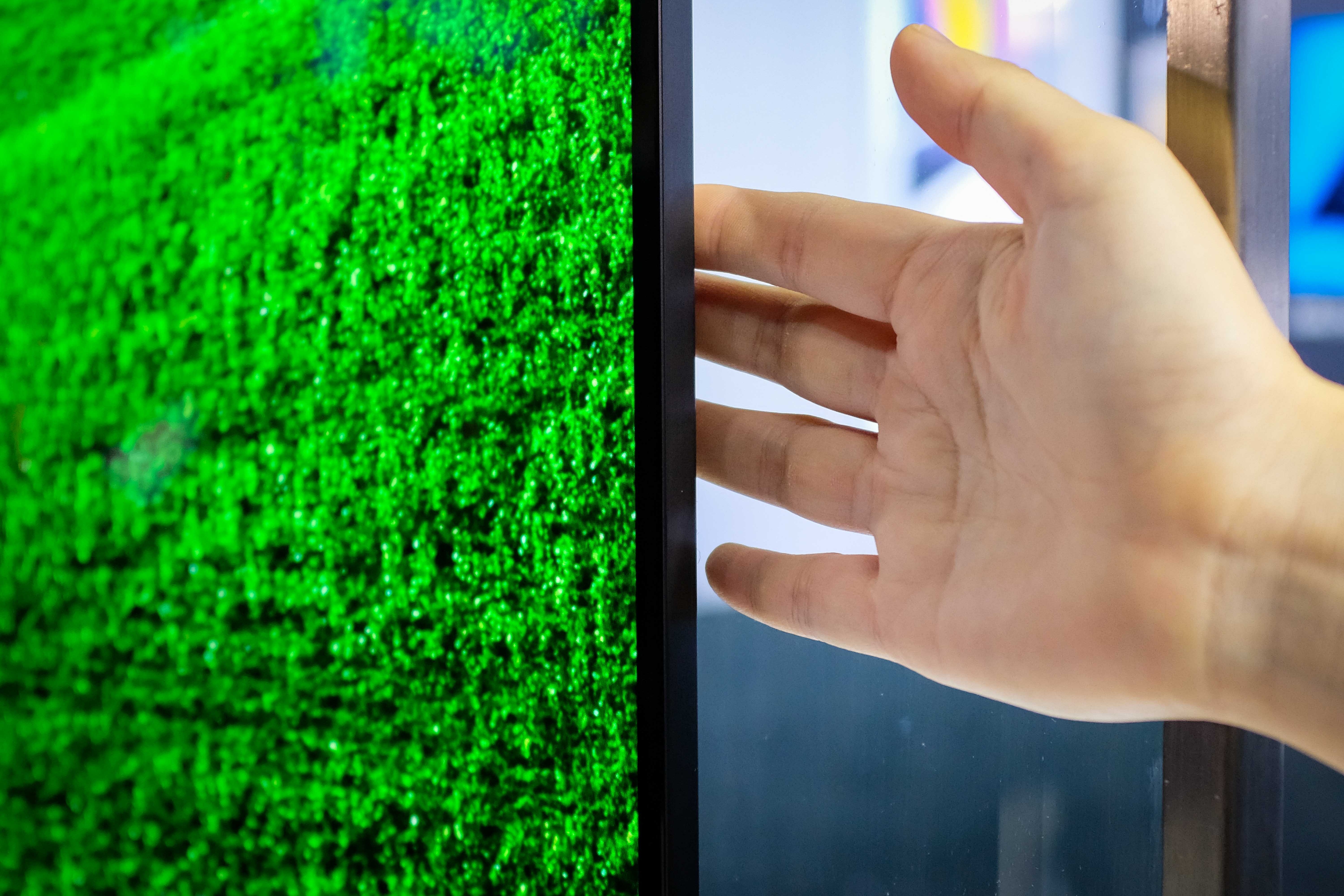 TV cao cap tai Viet Nam anh 5