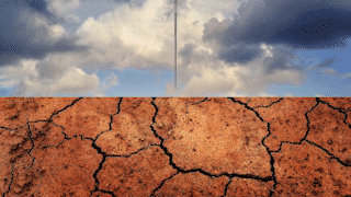 Cay kim co the pha huy mot thanh pho neu roi voi toc do anh sang hinh anh