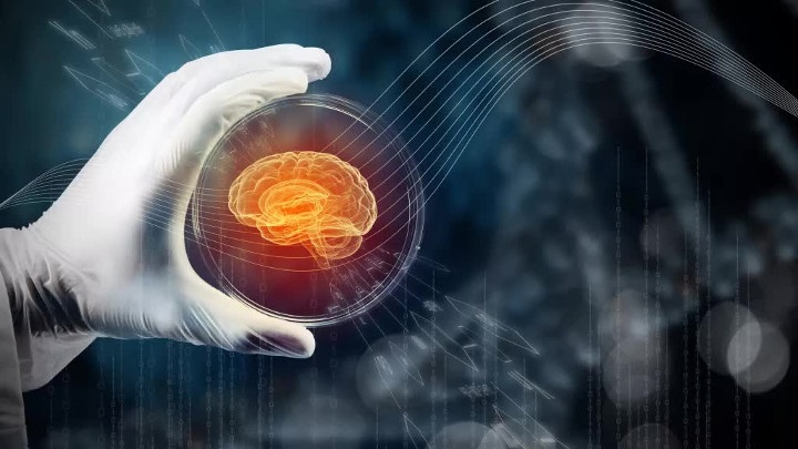 Vi sao cac nha khoa hoc 'nuoi' noi tang nguoi trong khong gian? hinh anh